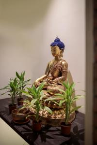hotel thamel house