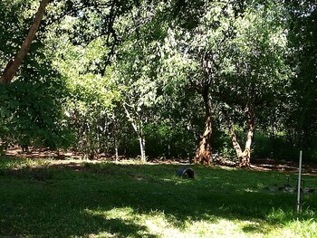 mount hermon safari cottages