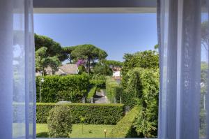 camaiore