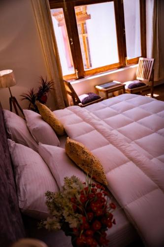 hotel ladakh delight