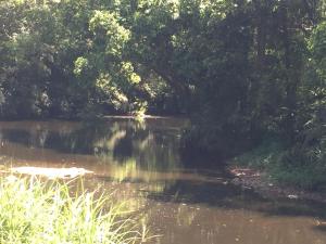 yandina caravan park