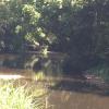 yandina caravan park