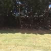 yandina caravan park