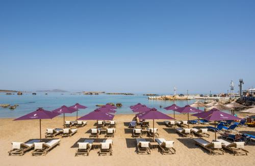 chania flair