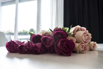 the queen luxury apartments villa fiorita