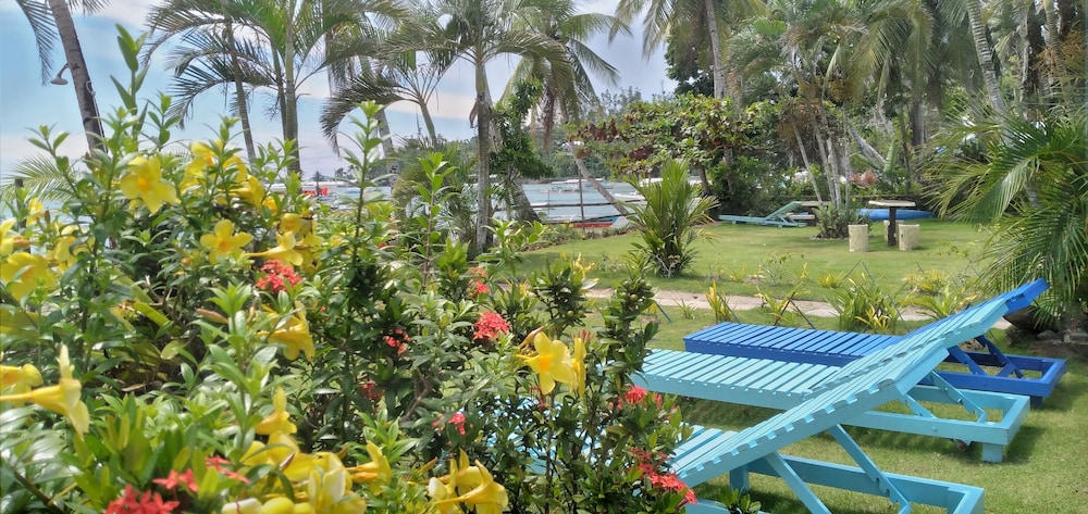 summer homes beach resort and cottages