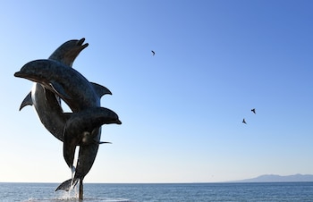 puerto vallarta