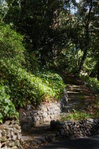 guerneville