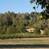 guerneville