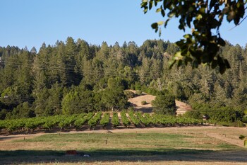 guerneville