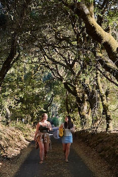 guerneville