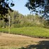guerneville