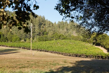 guerneville