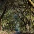 guerneville