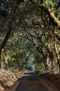 guerneville