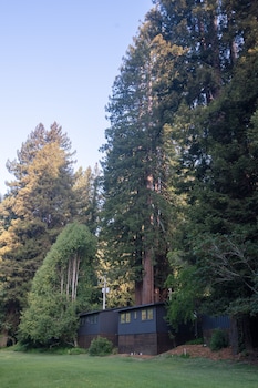 dawn ranch
