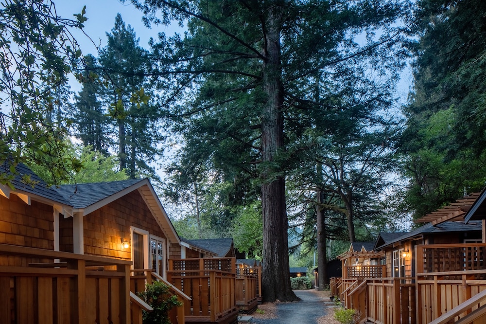 dawn ranch