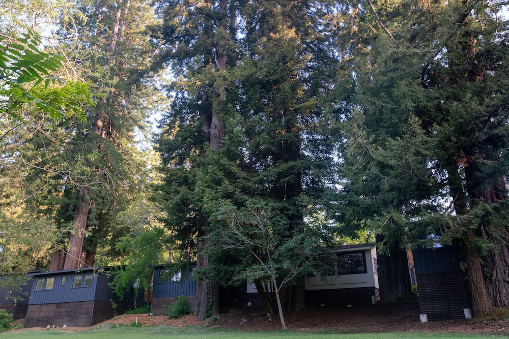 dawn ranch