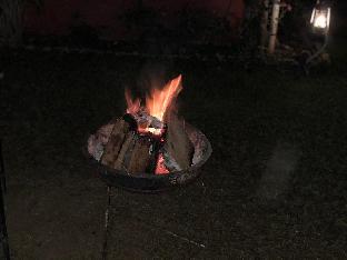 ranthambore city heart