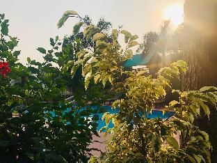 ranthambore city heart