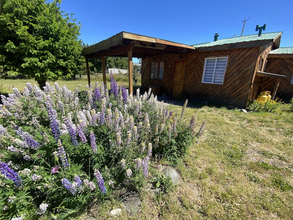 patagonia bordelago