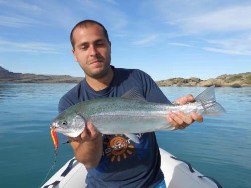 patagonia bordelago