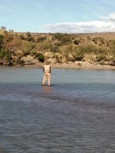 patagonia bordelago