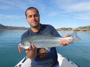 patagonia bordelago