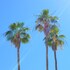 palm springs