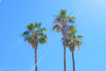 palm springs