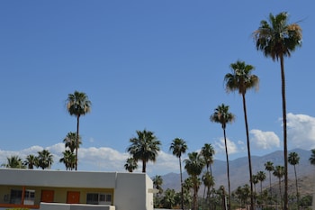 palm springs