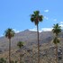 palm springs