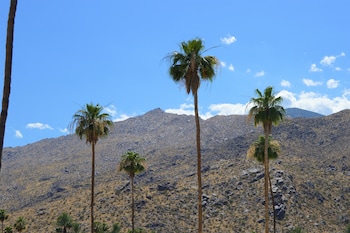 palm springs