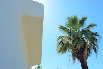 palm springs