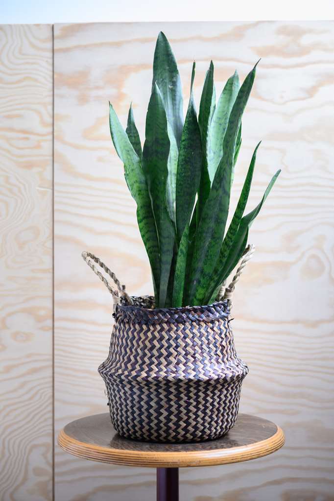 hotel la grande cloche