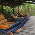 hamadryade lodge