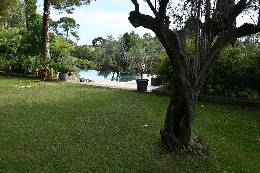 chambres dhotes sous lolivier