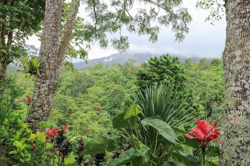 mulia garden bungalows