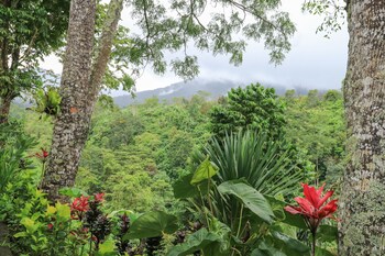 Mulia Garden Bungalows,Blimbing>>Bali,2.5 star