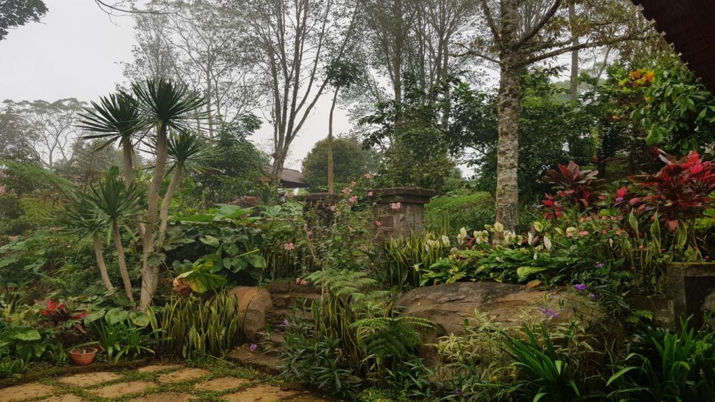 mulia garden bungalows