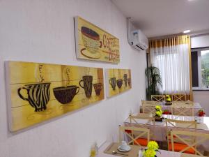 cachoeiras de macacu