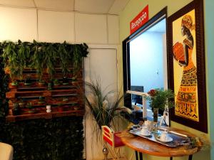 cachoeiras de macacu