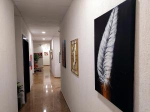 cachoeiras de macacu