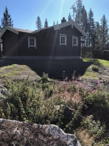 fresh familie hytte hemsedal