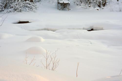 fresh familie hytte hemsedal