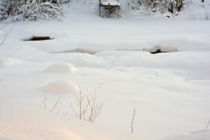 fresh familie hytte hemsedal