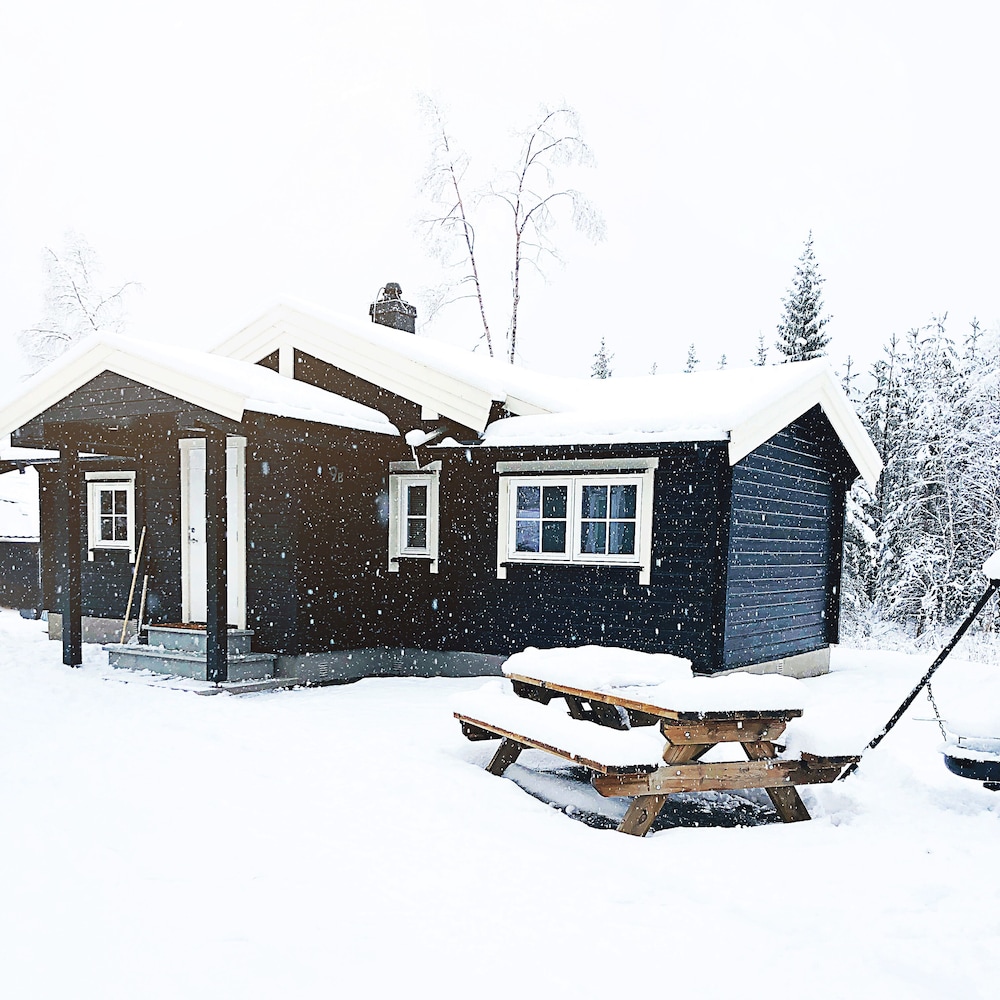 fresh familie hytte hemsedal