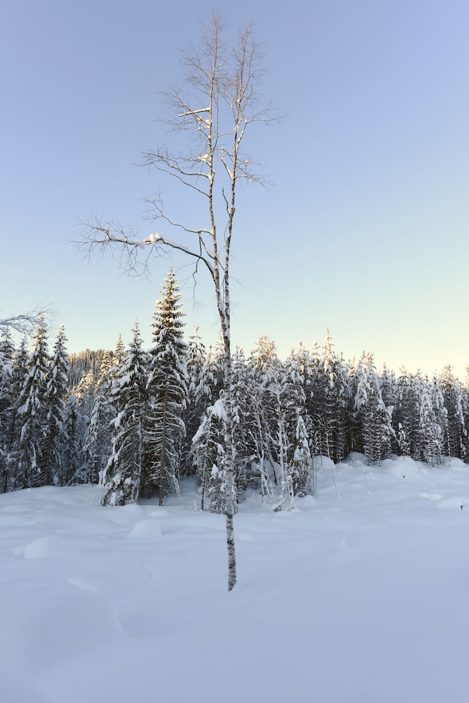 fresh familie hytte hemsedal