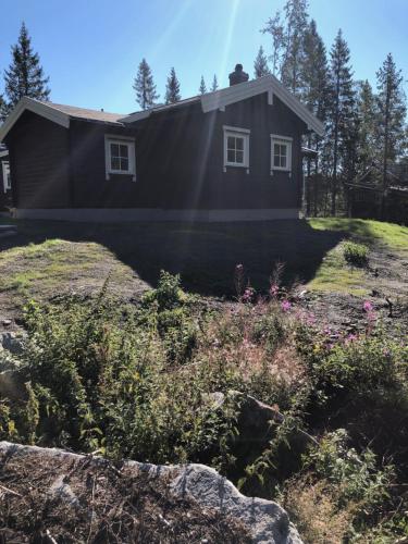 fresh familie hytte hemsedal