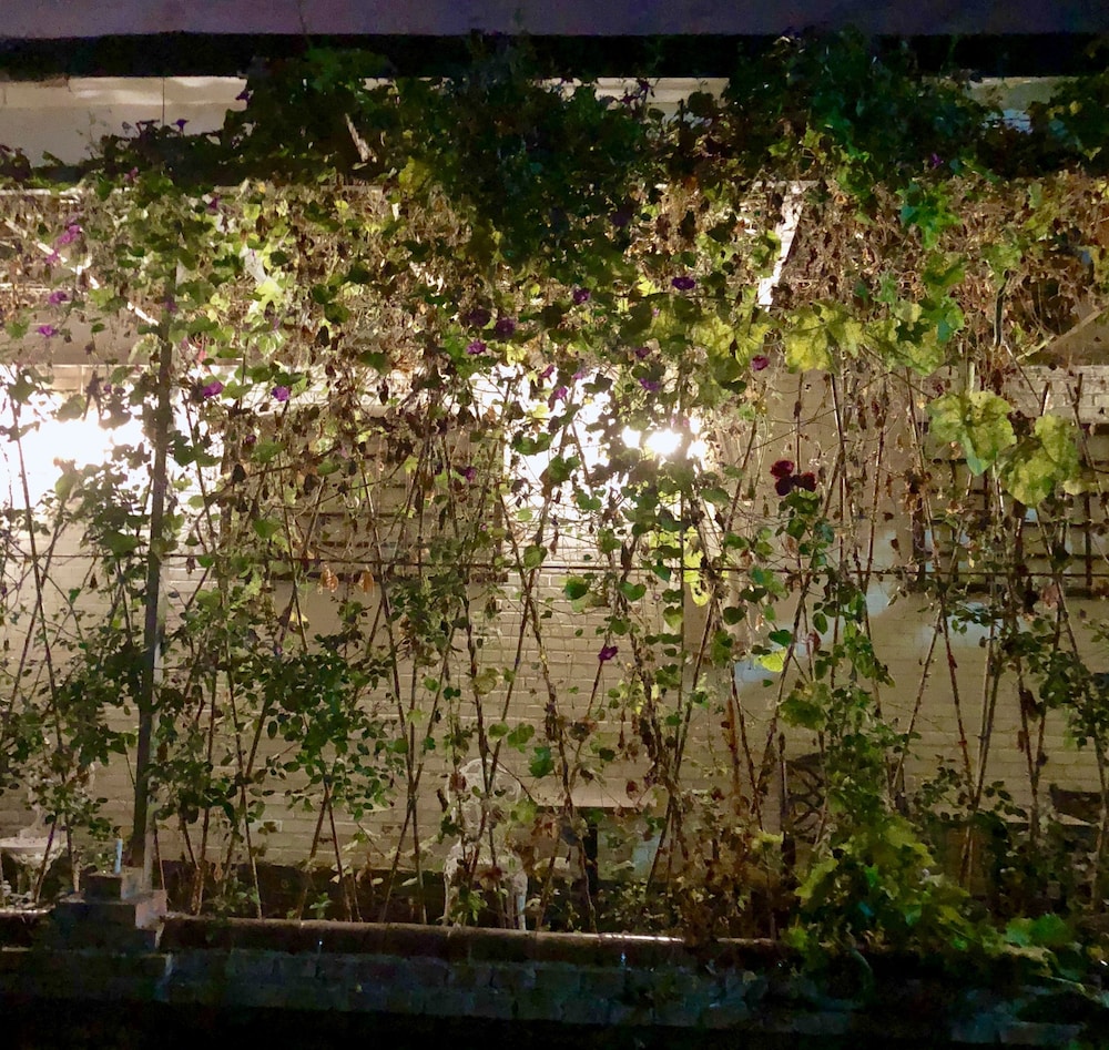 manhongs private courtyard